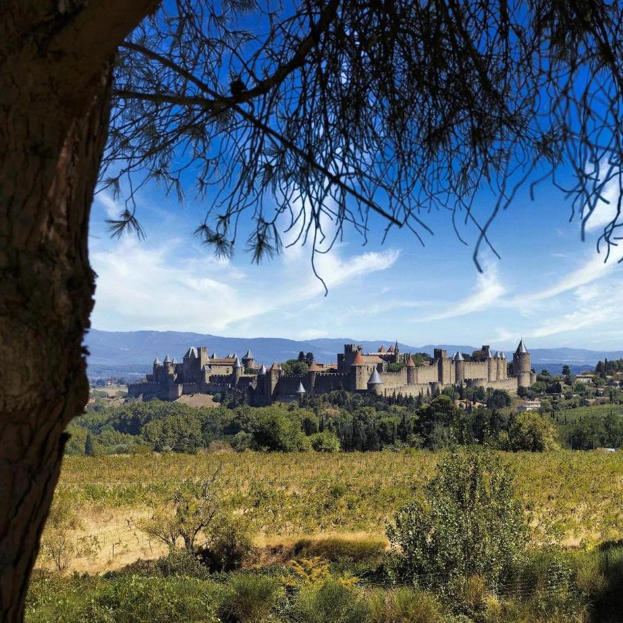 Maison De Margot Peyriac-Minervois Luaran gambar