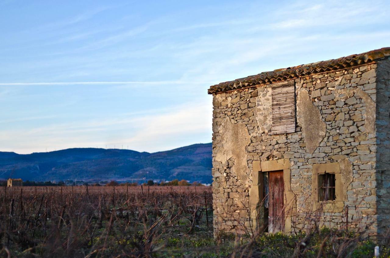 Maison De Margot Peyriac-Minervois Luaran gambar